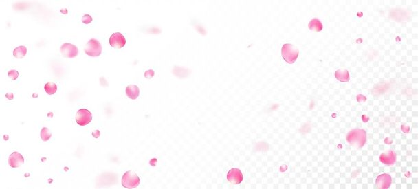 Rose Petals Falling Confetti. Windy Leaves Confetti Border. Noble Rich VIP Pastel Texture. Blooming Cosmetics Ad Beautiful Flower Background. Falling Japanese Cherry Rose Sakura Petals Design. - Vector, Image