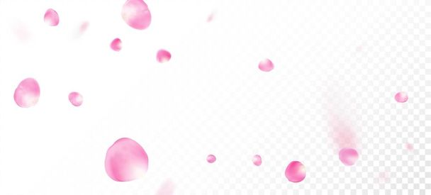 Τα ροδοπέταλα πέφτουν από κομφετί. Κομψό πλούσιο VIP μοτίβο προσφοράς. Ανθισμένα καλλυντικά διαφήμιση γυναικεία Floral φόντο. Ο Γουίντι αφήνει το πλαίσιο κομφετί. Πετώντας Ιαπωνικά Cherry Sakura Rose Petals Poster. - Διάνυσμα, εικόνα