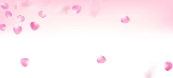 Rózsa szirmok hulló Confetti. Női gazdag VIP akvarell minta. Virágzó kozmetikumok reklám nemes virág háttér. Windy elhagyja a Confetti Plakátot. Repülő japán Sakura Rose Cherry szirmok keret. - Vektor, kép