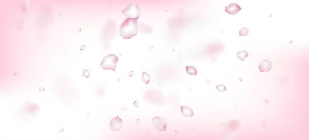 Cherry Sakura terälehtikonfettia. Falling japanilainen Cherry Sakura Rose terälehdet Banner. Windy Leaves Confettin juliste. Jalo Premium Pastel Pattern. Kukkivat kosmetiikka mainos kaunis kukka tausta. - Vektori, kuva