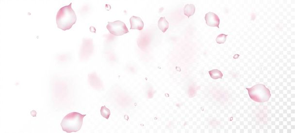 Cherry Sakura Petals Confetti. Falling Japanese Cherry Rose Sakura Petals Design. Noble Premium Pastel Pattern. Windy Leaves Confetti Border. Blooming Cosmetics Ad Elegant Flower Background. - Vector, Image