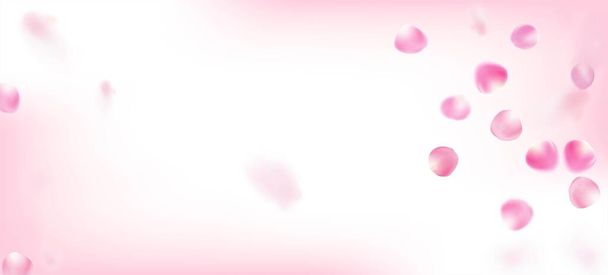 Pétales de roses tombant confettis. Texture magique Premium féminine. Bannière japonaise volante de pétales de cerise Sakura. Blooming Cosmetics Ad Beau fond floral. Affiche Confettis Feuilles venteuses. - Vecteur, image
