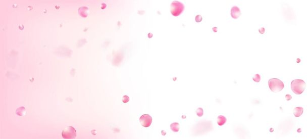 Rose Petals Falling Confetti. Kvetoucí kosmetika Ad Noble květinové pozadí. Větrné listí Confetti Frame. Padající japonské Sakura Rose Cherry Petals Border. Krásný prémiový ženský vzor. - Vektor, obrázek