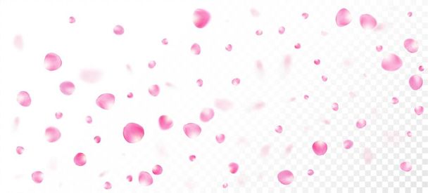 Роза Петалс Падає Конфетті. Noble Rich VIP Pastel Texture Косметика на тлі квіткового фону. Вінді залишає Confetti Poster. Flying Japanese Cherry Rose Sakura Petals Border. - Вектор, зображення