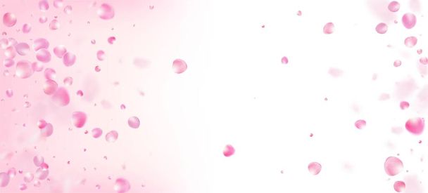 Роза Петалс Падає Конфетті. Blooming Cosmetics Ad Beautiful Floral Background Вінді Лівс Confetti Frame. Падіння японського постеру Sakura Rose Cherry Petals Poster. Гаряча премія з аквареллю. - Вектор, зображення