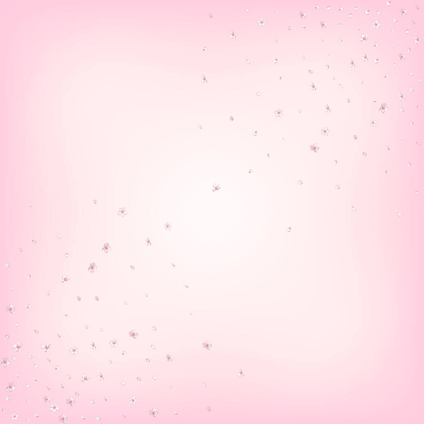 Sakura Cherry Blossom Confetti. Vallende Japanse Rose Sakura Cherry Petals Ontwerp. Bloeiende cosmetica Ad nobele bloem achtergrond. Winderige bladeren Confetti grens. Vrouwelijke Premium Magic Pattern. - Vector, afbeelding