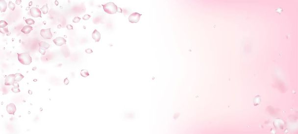 Cherry Sakura Petals Confetti. Noble rico patrón de acuarela VIP. Cosméticos florecientes Ad hermoso fondo floral. Windy deja la frontera de Confetti. Caída de la cereza japonesa Rose Sakura Petals Banner. - Vector, imagen