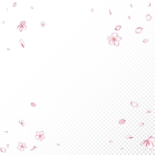 桜のコンフェッティ。空飛ぶ日本の桜の花びらデザイン。風の葉コンフェッティバナー。貴重なVIPマジックパターン。開花化粧品広告女性の花の背景. - ベクター画像