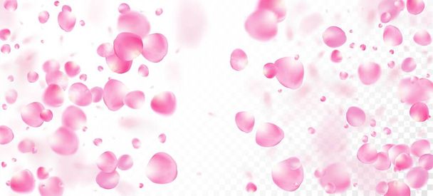 Płatki róż spadające konfetti. Spadający japoński plakat z płatkami wiśni Rose Sakura. Kwitnące kosmetyki Ad Piękne tło kwiatowe. Noble Premium akwarela tekstury. Wiatr opuszcza baner Confetti. - Wektor, obraz