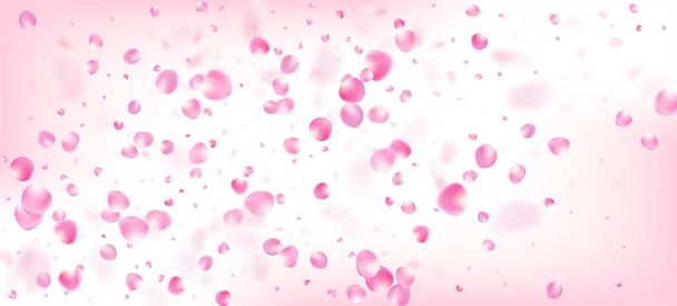 Rose Petals Falling Confetti. Noble Rich VIP Feminine Texture. Blooming Cosmetics Ad Female Flower Background. Windy Leaves Confetti Banner. Flying Japanese Cherry Rose Sakura Petals Poster. - Vector, Image