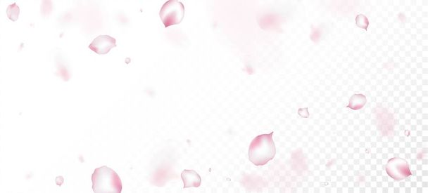 Cherry Sakura Petals Confetti. Elegante textura tierna Premium. Windy Leaves Confetti Banner. Cosméticos florecientes Ad hermoso fondo de la flor. Caída de la rosa japonesa Sakura Cherry Petals Border. - Vector, imagen