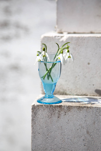 Kleiner Strauß Galanthus Nivalis Schneeglöckchen blüht in einem schussblauen Glas auf weißen Ziegeln, verschwommenem weißem und grauem Hintergrund. Selektiver Fokus. Vanner, Postkarte. Vertikal - Foto, Bild