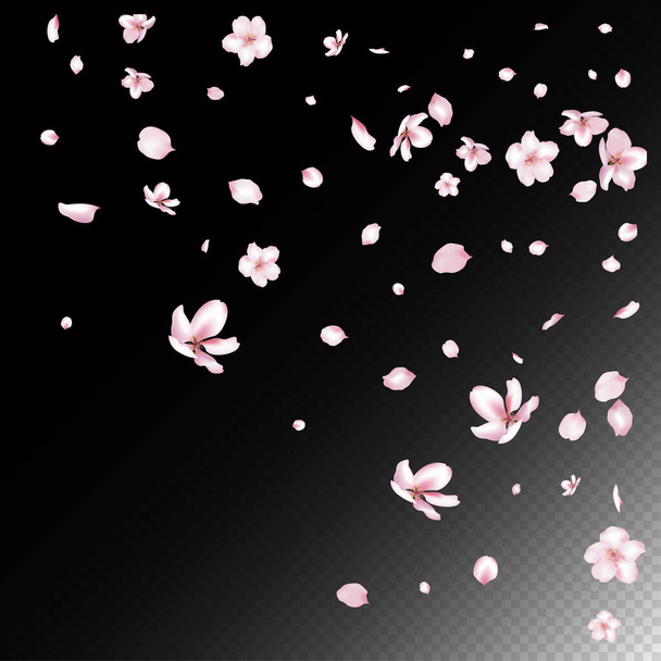 Sakura Cherry Blossom Confetti. Hermoso patrón rico pastel VIP. Windy Leaves Confetti Design. Flying Japanese Rose Cherry Sakura Petals Frame (en inglés). Cosméticos florecientes Ad Noble Fondo floral. - Vector, Imagen