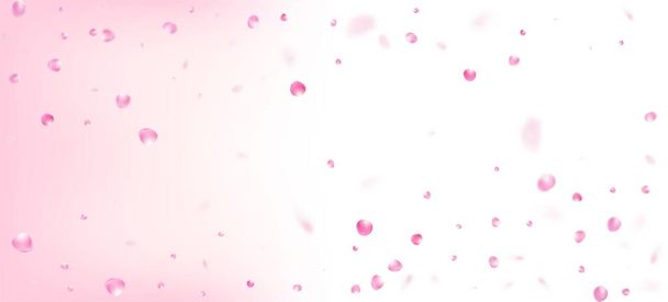 ローズペタルがコンフェッティに落ちる。ウィンディはコンフェッティポスターを残す。空飛ぶ日本のバラ桜花びらのフレーム。開花化粧品広告美しい花の背景。高貴なリッチVIP女性らしさテクスチャ. - ベクター画像