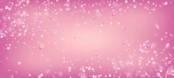 Rose Petals Falling Confetti. Flying Japanese Sakura Cherry Rose Petals Banner. Blooming Cosmetics Ad Noble Flower Background. Windy Leaves Confetti Border. Beautiful Premium Feminine Pattern. - Vector, Image