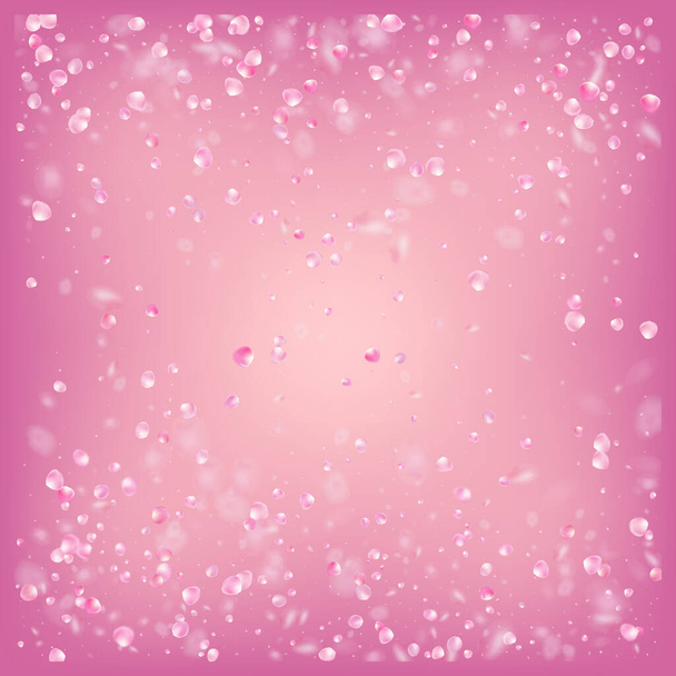 Rose Petals Flying Confetti. Cosméticos florecientes Ad Fondo floral elegante. Textura tierna Premium femenina. Flying Japanese Sakura Cherry Rose Petals Banner. Viento deja frontera de confeti. - Vector, Imagen