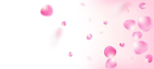 Rosenblätter fallen Konfetti. Elegantes Premium Tender Pattern. Fallende japanische Sakura Cherry Rose Petals Poster. Windy Leaves Confetti Design. Blühende Kosmetik Ad Schöne Blume Hintergrund. - Vektor, Bild
