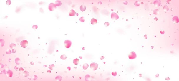 ローズペタルがコンフェッティに落ちる。化粧品広告高貴な花の背景を開花させます。空飛ぶ日本の桜の花びらのフレーム。美しい豊かなVIPマジックパターン。風葉コンフェッティポスター. - ベクター画像