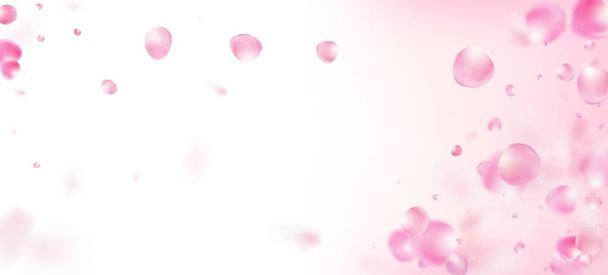 Роза Петалс Падає Конфетті. Вінді залишає Confetti Border. "Blooming Cosmetics Ad Female Floral Background". Літаючи в японській вишневій рамці Rose Sakura Petals. Прекрасна багата VIP - тематика. - Вектор, зображення