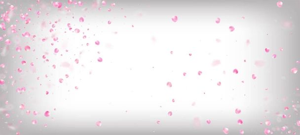 Petali di Rosa Caduti Confetti. Vento lascia Cornice Confetti. Bandiera giapponese Sakura Rose Cherry Petals. Fioritura Cosmetici Ad Noble Flower sfondo. Texture tenera Premium femminile. - Vettoriali, immagini