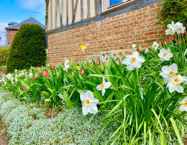 Gyönyörű tavaszi virágok a ház mellett a falu Lyons-la-Foret - Fotó, kép