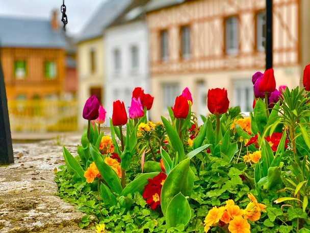 A beautiful old well with tulip flowers in the center of Cany-Barville - Photo, Image