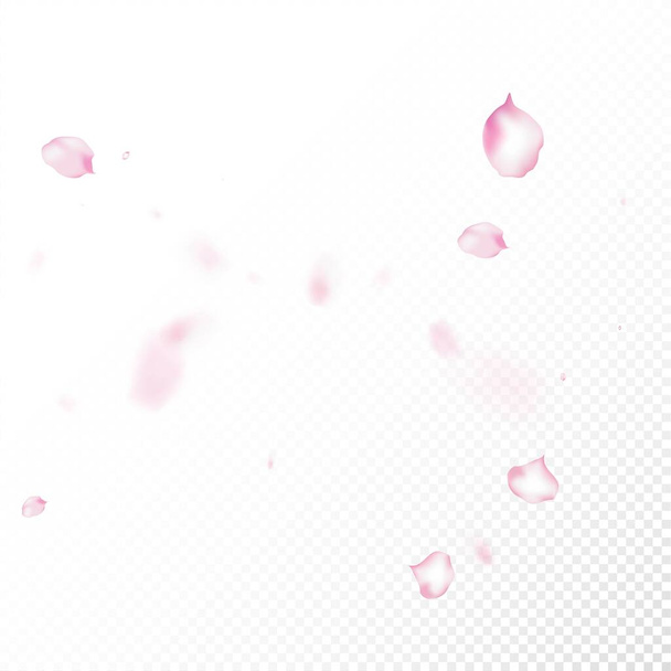 Cherry Sakura Blossom Confetti. Windy Leaves Confetti Border. Falling Japanese Rose Cherry Sakura Petals Banner. Blooming Cosmetics Ad Elegant Flower Background. Female Rich VIP Magic Texture. - Vector, Image