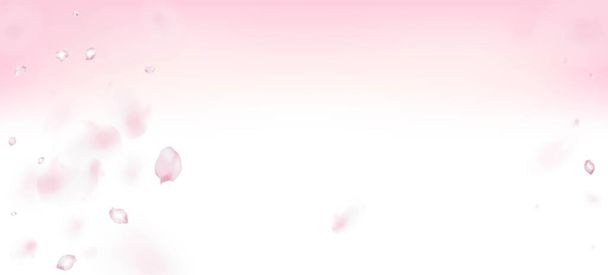 チェリーさくらペタルコンフェッティ。化粧品広告女性の花の背景を開花。空飛ぶ日本の桜の花びらのフレーム。エレガントなプレミアムパステルテクスチャ。冬の葉｜Confetti Border. - ベクター画像