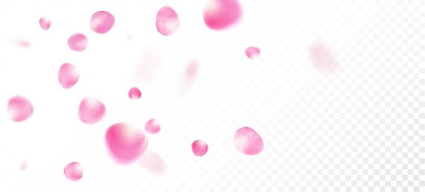 Petali di Rosa Caduti Confetti. Bellissimo modello di acquerello Premium. Volare giapponese Cherry Rose Sakura Petali Frame. Vento lascia Confetti Border. Fioritura Cosmetici Ad Elegante sfondo floreale. - Vettoriali, immagini