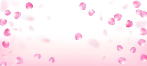 ローズペタルがコンフェッティに落ちる。女性プレミアム女性のパターン。化粧品広告エレガントな花の背景を開花。風はConfettiフレームを残します。日本の桜の花びらのポスターを落下. - ベクター画像