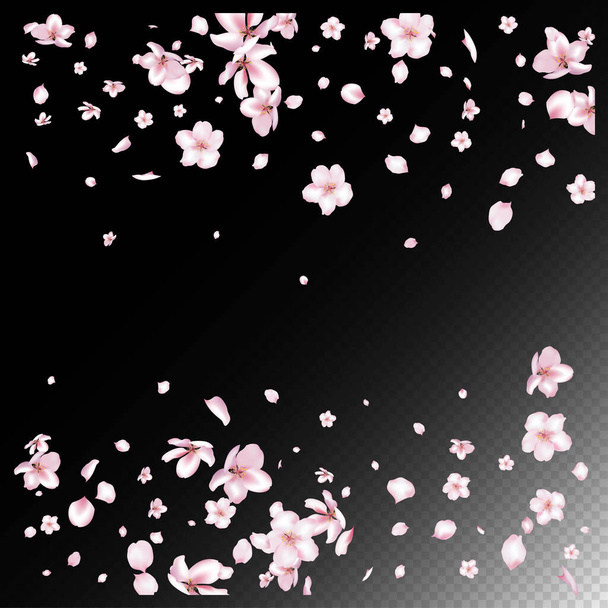 Sakura Cherry Blossom Confetti. Hermoso patrón femenino VIP rico. Windy deja la frontera de Confetti. Cosméticos florecientes Ad Elegante fondo de flores. Caída japonesa Sakura cereza rosa pétalos diseño. - Vector, imagen