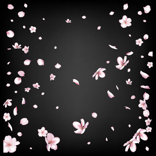 Sakura Cherry Blossom Confetti. Větrné listy plakátu Confetti. Flying Japanese Cherry Rose Sakura Petals Border. Kvetoucí kosmetika Ad Krásné květinové pozadí. Vznešená jemná textura Premium. - Vektor, obrázek