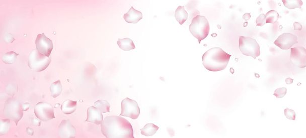 Confettis de pétales de cerise Sakura. Affiche des pétales de cerise rose Sakura japonais volant. Windy Leaves Confetti Border. Noble riche VIP Pastel Pattern. Blooming Cosmetics Ad Fond de fleur élégant. - Vecteur, image