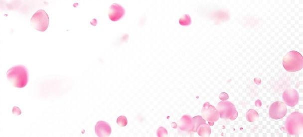 ローズペタルがコンフェッティに落ちる。ウィンディはコンフェッティ・ボーダーを離れる。空飛ぶ日本のバラ桜の花びらデザイン。化粧品広告ノーブル花の背景を開花。エレガントなリッチVIPパステルテクスチャ. - ベクター画像