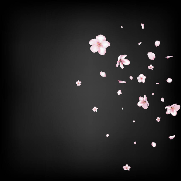 Sakura Cherry Blossom Confetti. Elegantní pastelová textura Premium. Kvetoucí kosmetika Ad Krásné květinové pozadí. Větrné listí Confetti Frame. Padající japonské růže třešeň Sakura okvětní lístky plakát. - Vektor, obrázek