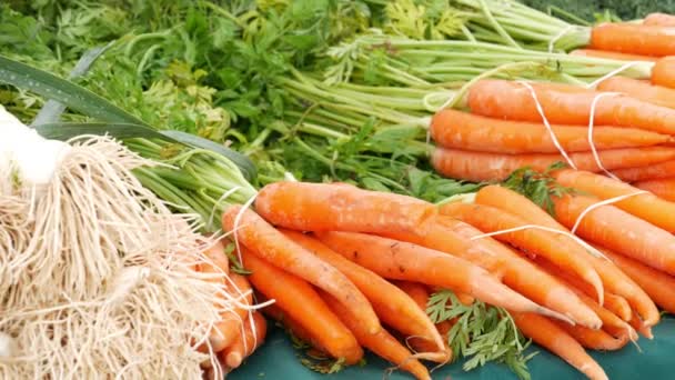 Ekologická zelenina na pultu, čerstvé místní produkty doma pěstované na stánku. Farmers food market in USA. - Záběry, video