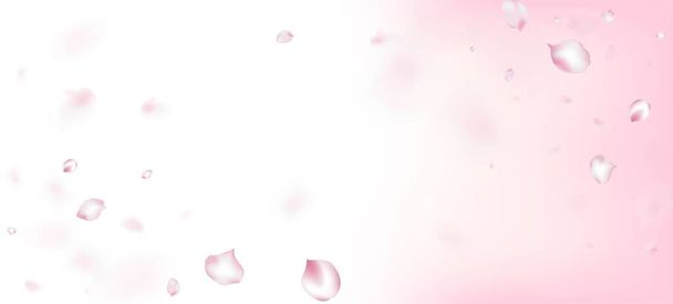 Cherry Sakura Petals Confetti. Cosméticos florecientes Ad hermoso fondo floral. Windy Leaves Confetti Poster. Patrón mágico VIP rico femenino. Caída japonesa rosa sakura pétalos de cereza marco. - Vector, imagen