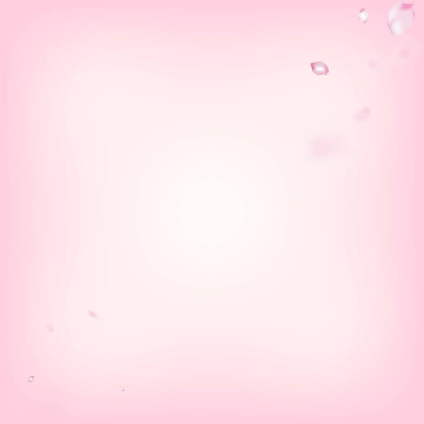 Сакура Блоссом Конфетті. Жіночий багатий виноградарський візок. Flying Japanese Cherry Rose Sakura Petals Design Вінді залишає Confetti Banner. Затемнення косметики на тлі Флоріан. - Вектор, зображення