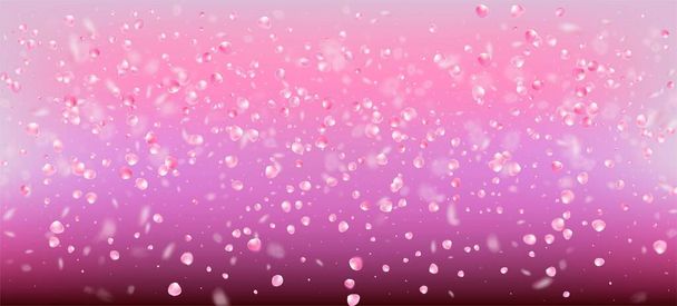 Rozenblaadjes vallen Confetti. Winderige bladeren Confetti poster. Vliegende Japanse Cherry Sakura Rozenblaadjes Frame. Bloeiende cosmetica Ad vrouwelijke bloem achtergrond. Elegant rijke VIP Tender patroon. - Vector, afbeelding