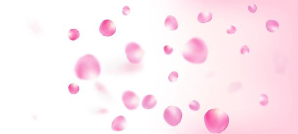 Τα ροδοπέταλα πέφτουν από κομφετί. Ανθισμένα καλλυντικά διαφημιστικά Noble λουλούδι φόντο. Πλούσια γυναικεία VIP Υδατογραφία Υφή. Ο Γουίντι αφήνει το Confetti Banner. Πετώντας Ιαπωνικά Cherry Rose Sakura πέταλα πλαίσιο. - Διάνυσμα, εικόνα