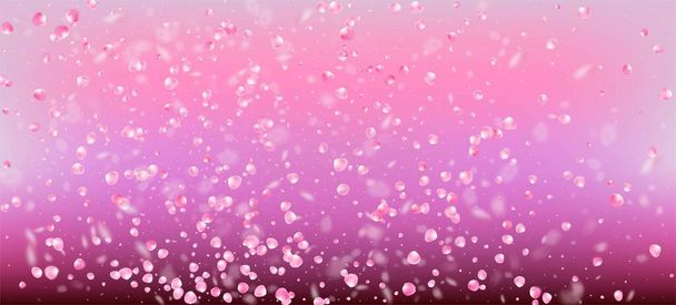 Роза Петалс Падає Конфетті. Вінді залишає Confetti Poster. Blooming Cosmetics Ad Noble Floral Background Японська компанія Rose Cherry Sakura Petals Design. Жіноча багата пишнота. - Вектор, зображення