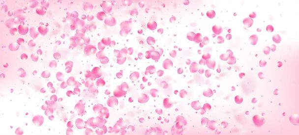Rózsa szirmok hulló Confetti. Virágzó kozmetikumok Hirdetés Női virágos háttér. Gyönyörű Gazdag VIP Női Minta. Repülő japán Sakura Cherry Rose szirmok zászló. Szeles levelek Confetti poszter. - Vektor, kép