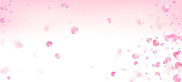 Rose Petals Falling Confetti. Kvetoucí kosmetika Ad Elegantní květinové pozadí. Větrné listy plakátu Confetti. Krásná pastelová textura Premium. Padající japonská růže Sakura Cherry Petals Banner. - Vektor, obrázek