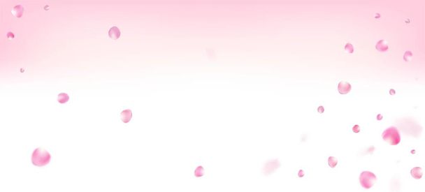 Rózsa szirmok hulló Confetti. Virágzó kozmetikumok Hirdetés Női virágos háttér. Nemes gazdag VIP női textúra. Windy elhagyja Confetti Banner-t. Repülő japán cseresznye Sakura Rózsa szirmok poszter. - Vektor, kép