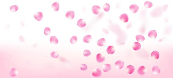 Pétales de roses tombant confettis. Affiche Confettis Feuilles Venteuses. Flying Japanese Sakura Rose Cherry Petals Design. Femme riche VIP Pastel Texture. Blooming Cosmetics Ad élégant fond floral. - Vecteur, image