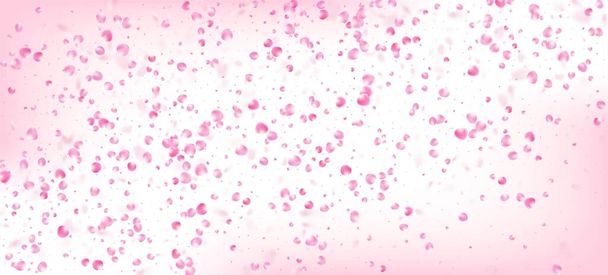 Rose Petals Falling Confetti. Falling Japanese Rose Sakura Cherry Petals Frame. Windy Leaves Confetti Poster. Blooming Cosmetics Ad Noble Flower Background. Female Premium Magic Pattern. - Vector, Image
