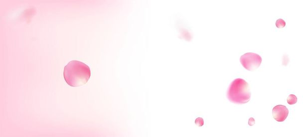 Pétalos de rosa cayendo Confetti. Caída japonesa Rose Sakura diseño de pétalos de cereza. Patrón femenino premium femenino. Windy Leaves Confetti Banner. Cosméticos florecientes Ad Noble Fondo de flores. - Vector, Imagen