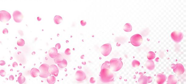Pétalos de rosa cayendo Confetti. Flying Japanese Rose Sakura Cherry Petals Banner (en inglés). Cosméticos florecientes Ad fondo floral femenino. Elegante textura tierna Premium. Viento deja marco de confeti. - Vector, imagen
