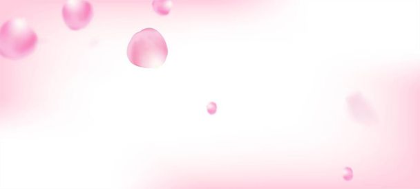 Rózsa szirmok hulló Confetti. Windy elhagyja a Confetti Frame-et. Virágzó kozmetikumok reklám gyönyörű virágos háttér. Repülő japán cseresznye Sakura Rózsa szirmok Határ. Női prémium pasztell minta. - Vektor, kép