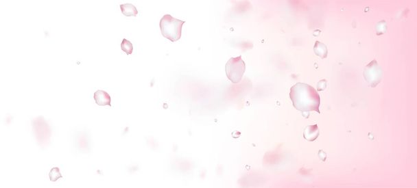 Cherry Sakura Blütenblätter Konfetti. Schöne Premium Aquarell Textur. Windy Leaves Confetti Banner. Fallende japanische Rose Sakura Kirschblütenblätter Rahmen. Blühende Kosmetik Ad Elegante Blume Hintergrund. - Vektor, Bild